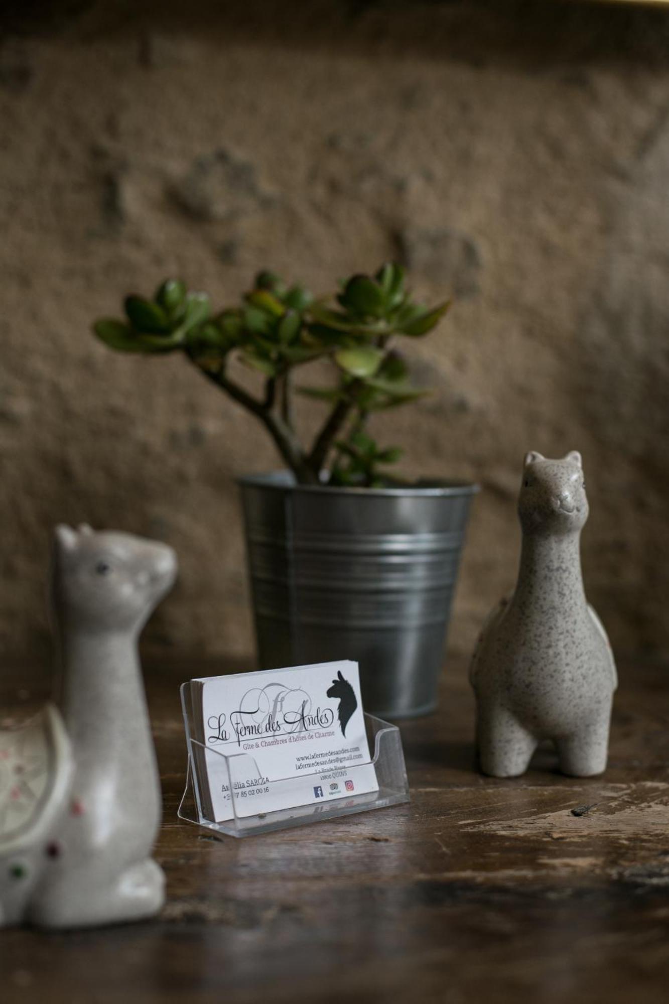 La Ferme Des Andes - Gite L'Atelier Quins Bagian luar foto