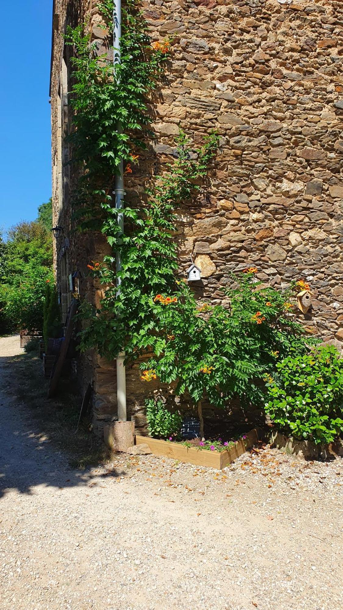 La Ferme Des Andes - Gite L'Atelier Quins Bagian luar foto
