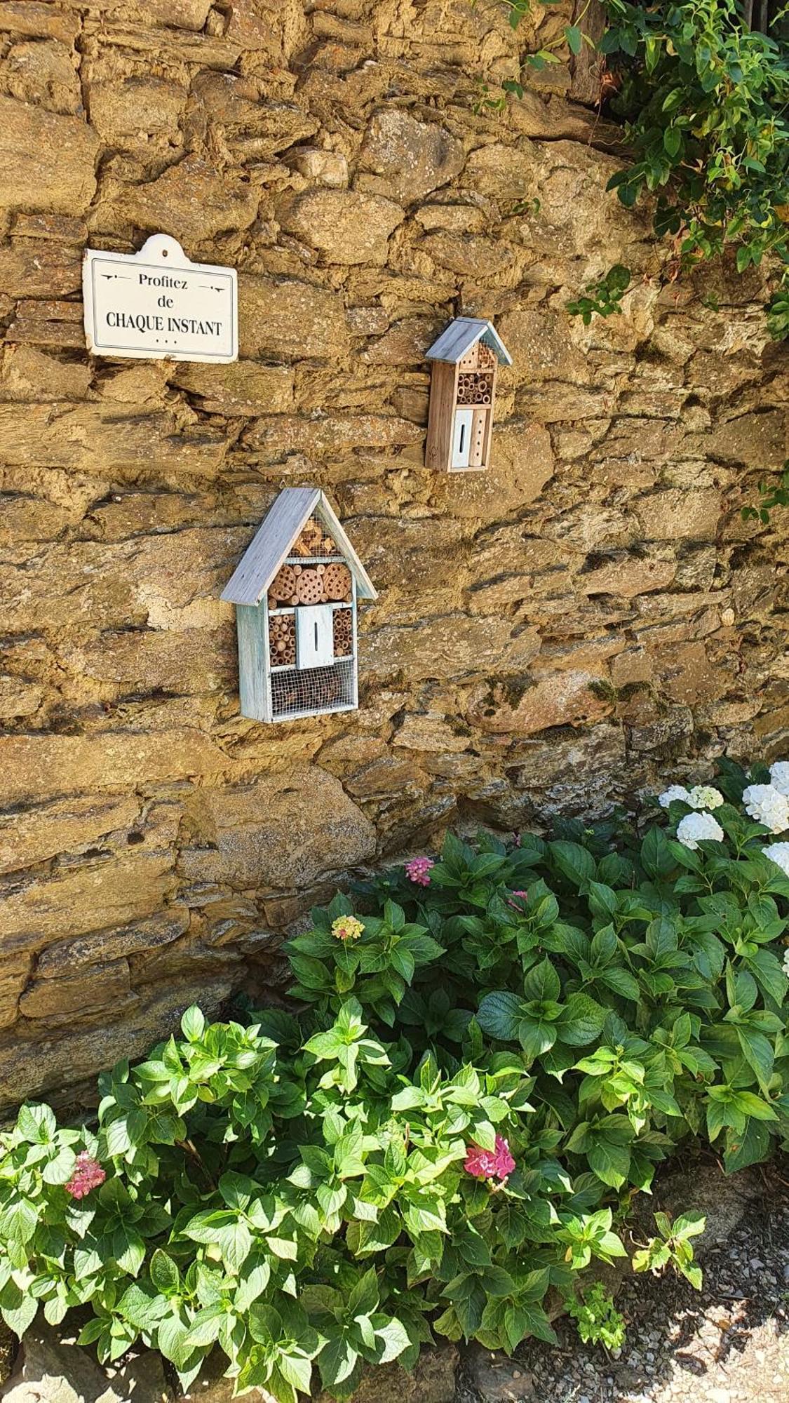 La Ferme Des Andes - Gite L'Atelier Quins Bagian luar foto