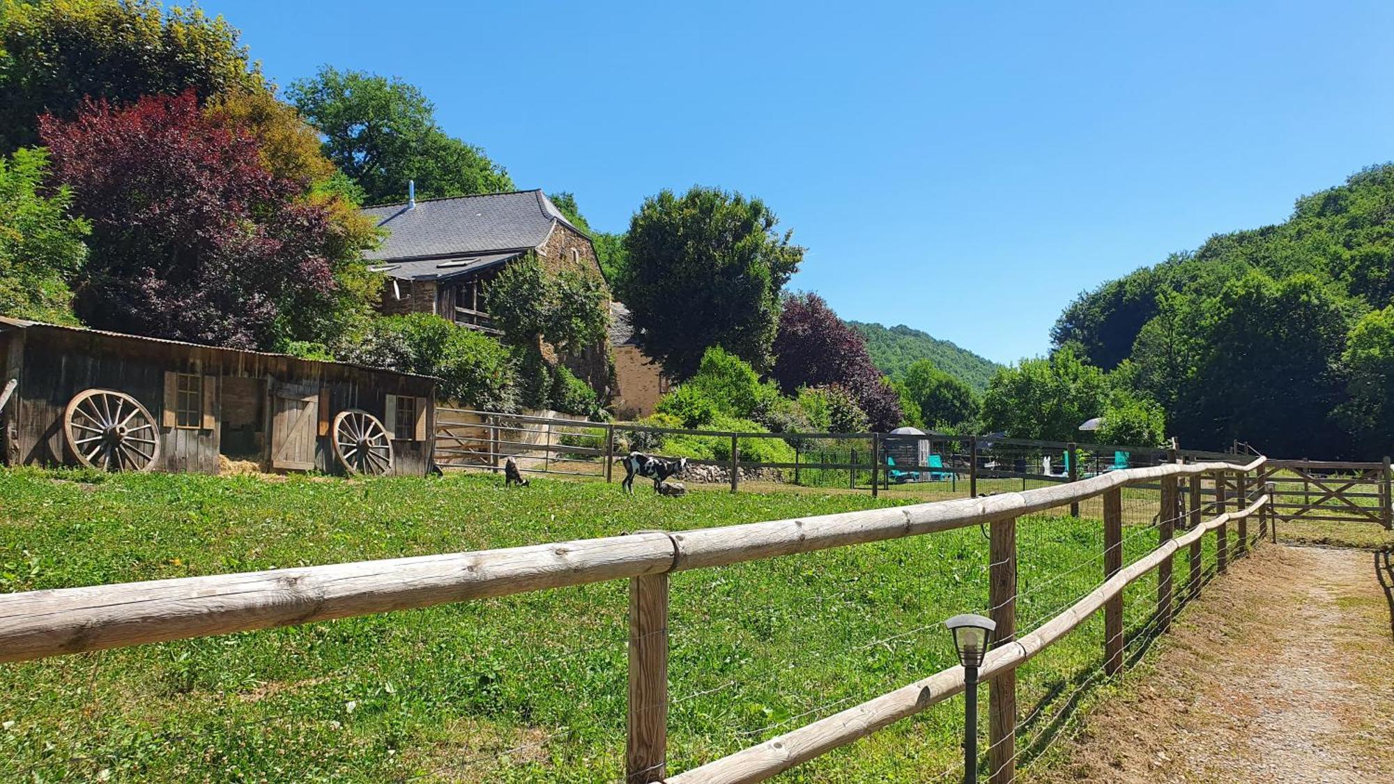 La Ferme Des Andes - Gite L'Atelier Quins Bagian luar foto