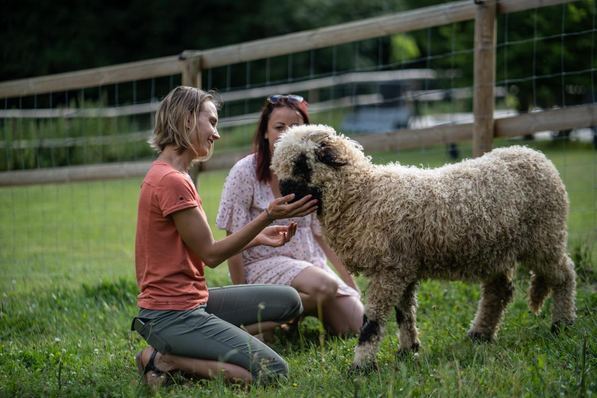 La Ferme Des Andes - Gite L'Atelier Quins Bagian luar foto
