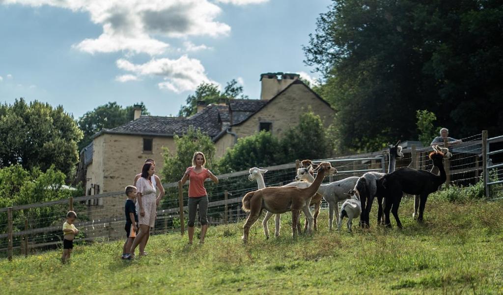 La Ferme Des Andes - Gite L'Atelier Quins Bagian luar foto
