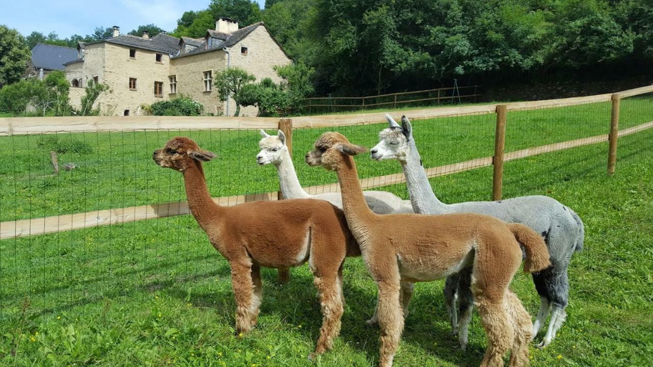 La Ferme Des Andes - Gite L'Atelier Quins Bagian luar foto