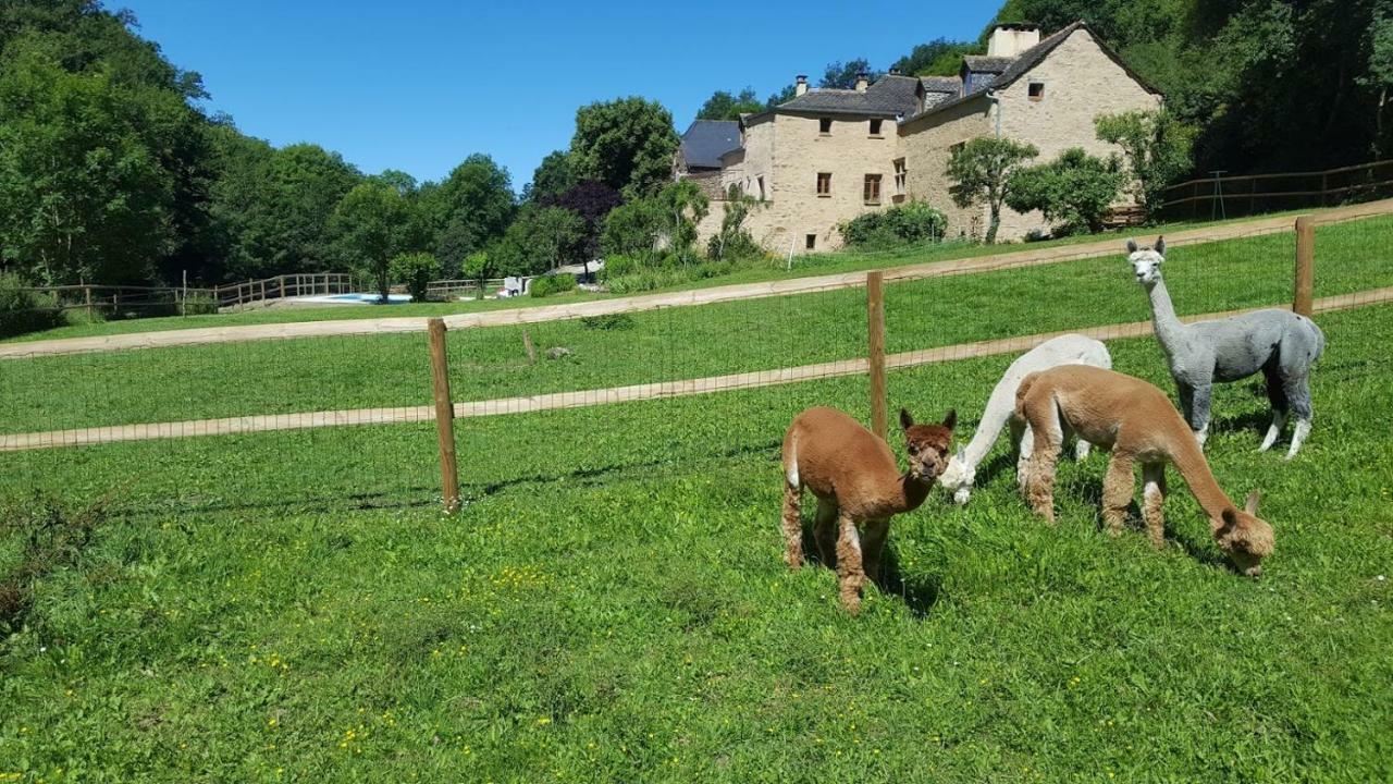 La Ferme Des Andes - Gite L'Atelier Quins Bagian luar foto