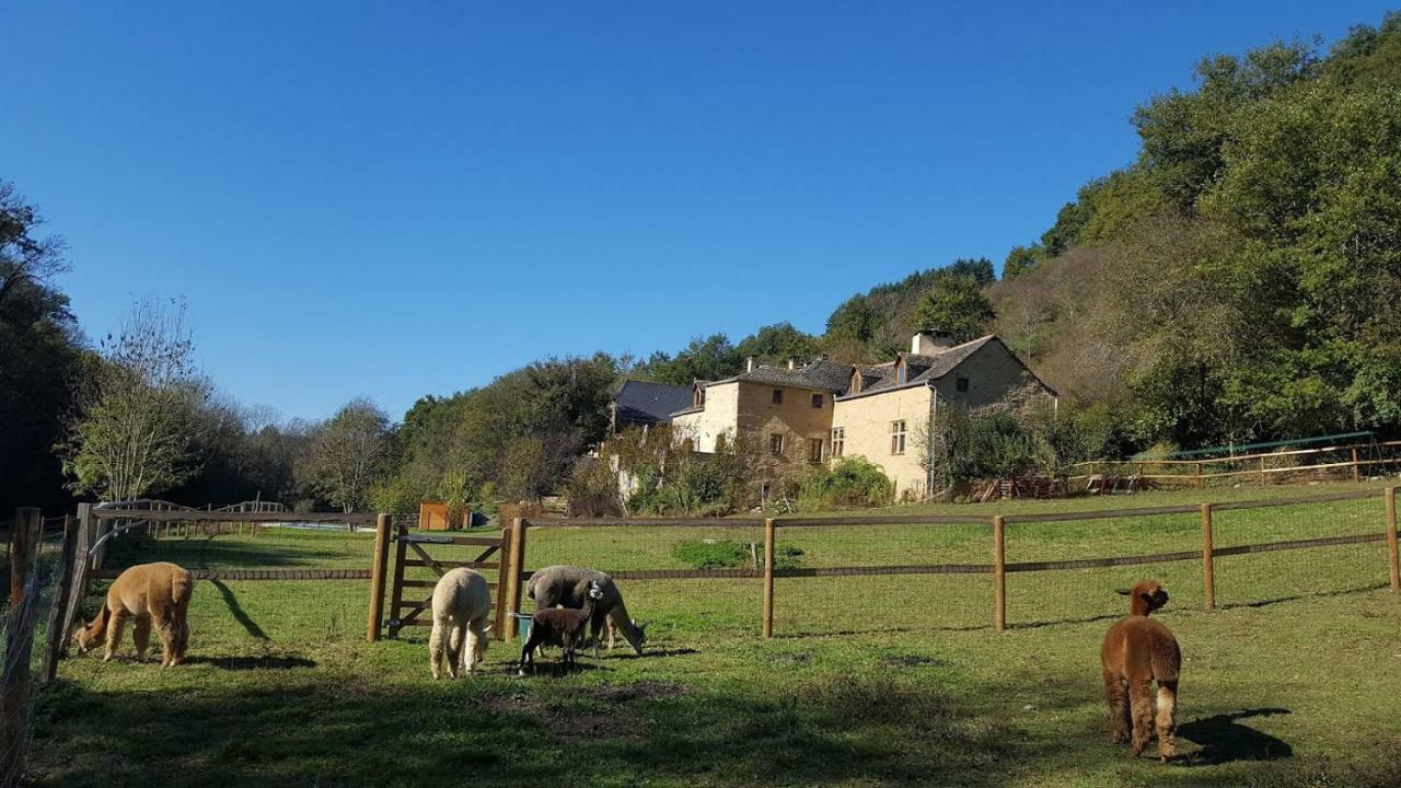 La Ferme Des Andes - Gite L'Atelier Quins Bagian luar foto